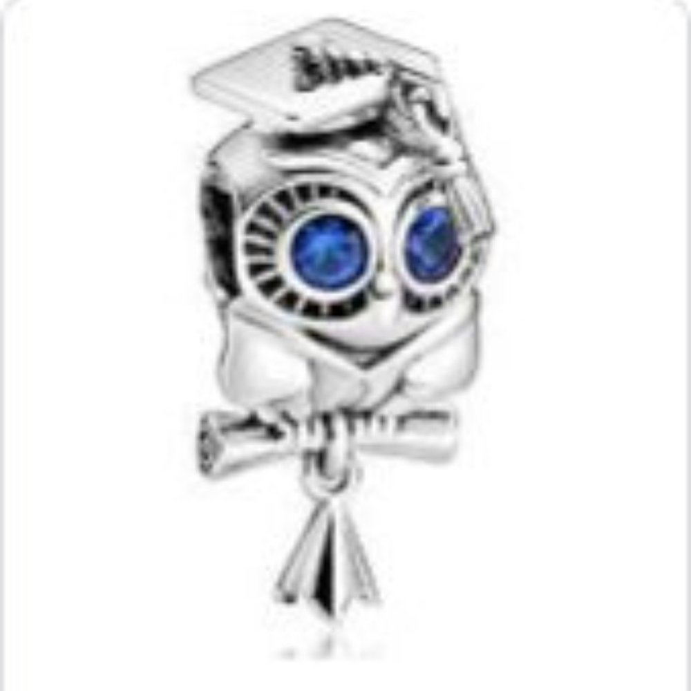 S925 Sterling Silver Wise Owl Graduation Charm